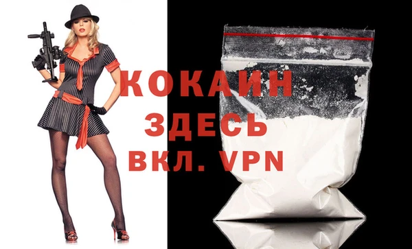 бошки Бородино