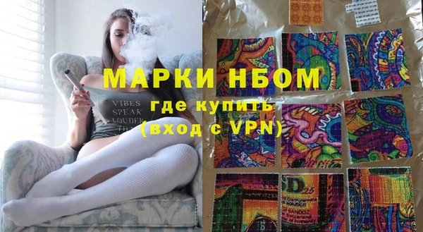 бошки Бородино