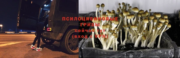 COCAINE Бронницы