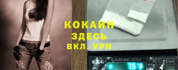 бошки Бородино