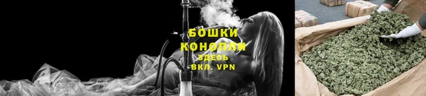 бошки Бородино