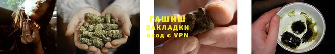 бошки Бородино