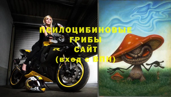 скорость Сафоново